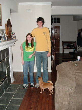 Tall Guys Free UNKNOWN 