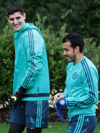 cobham-surrey-uk-8th-december-2015-the-long-and-short-of-it-courtois-F8BMJY