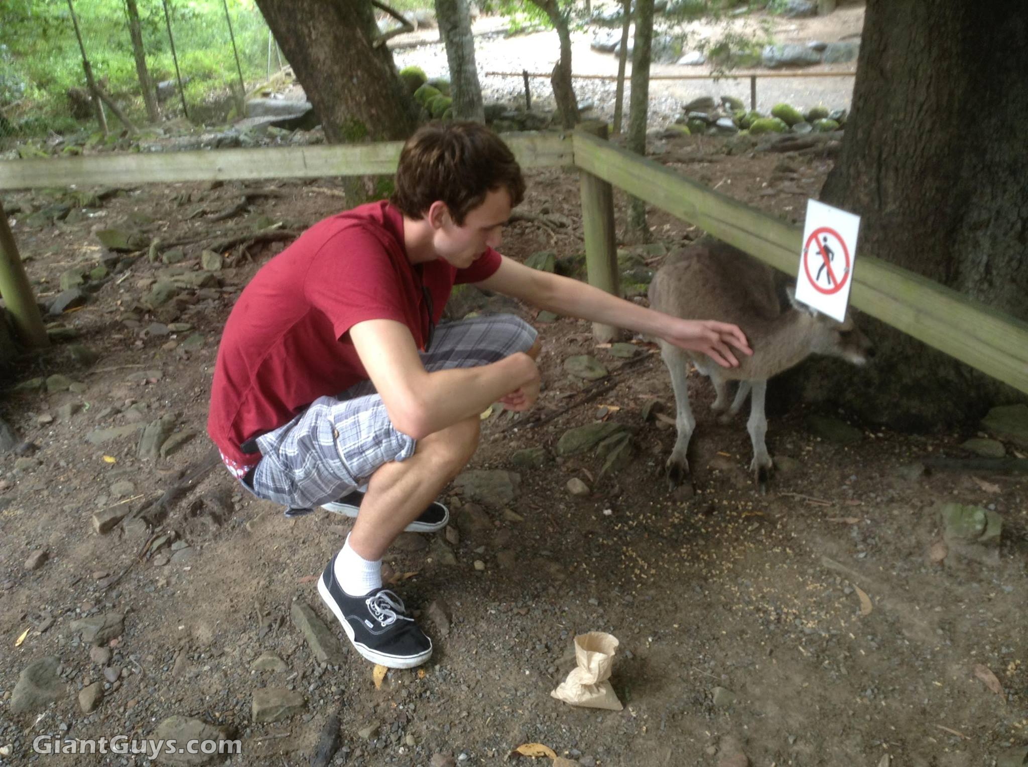 William Jewell - Tall Guys Free 