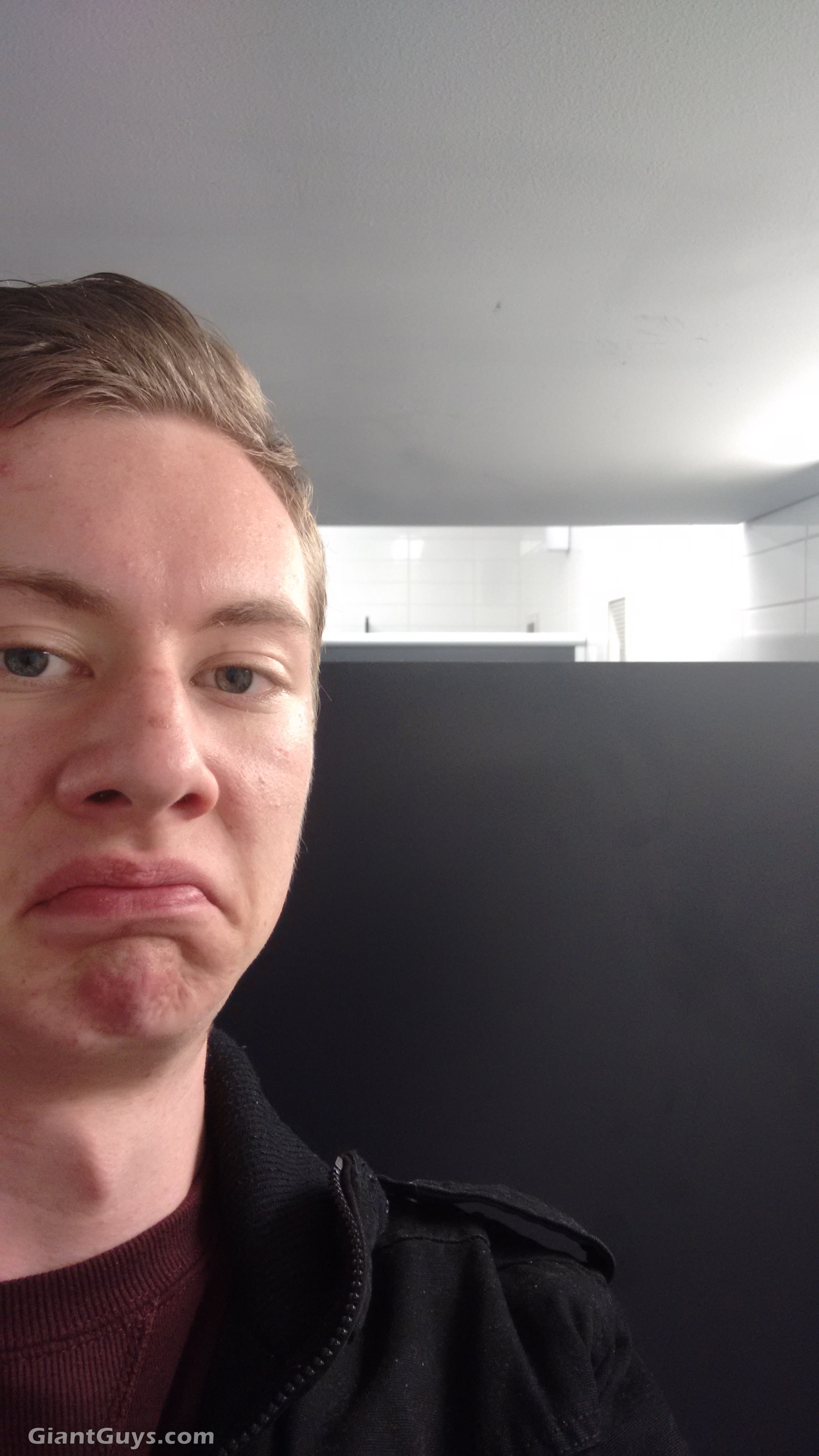 Public Bathroom, just great