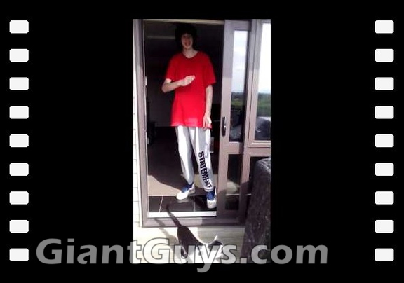 Tallest Man In New-Zealand