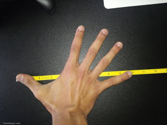 10 inch handspan