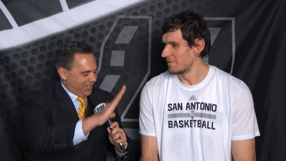 ImpressiveCanineAmericanshorthair