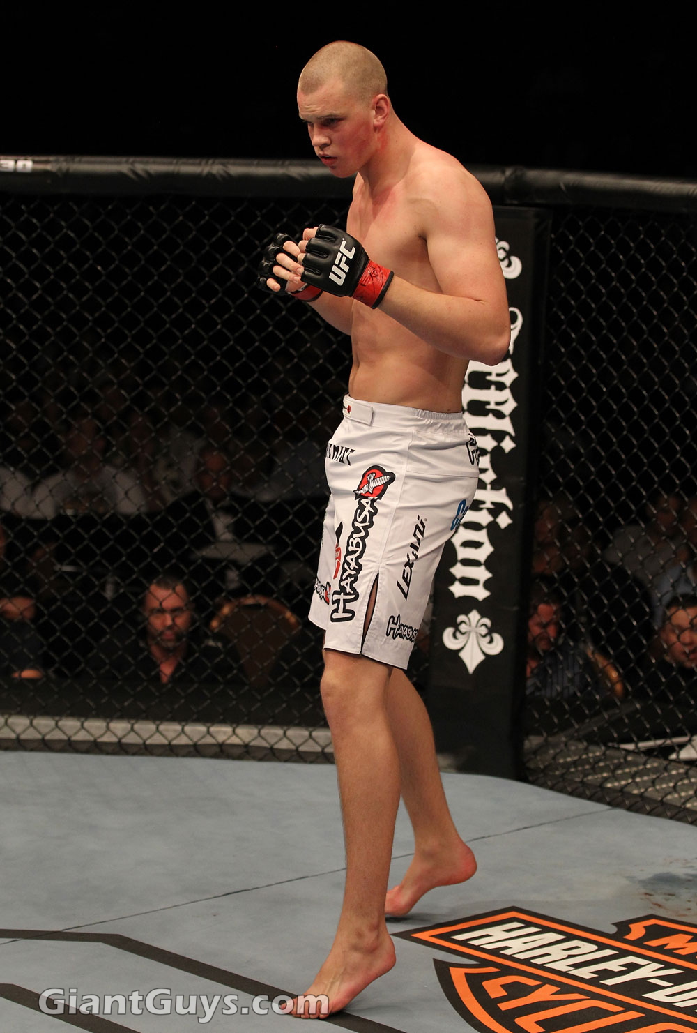 03 Struve Browne