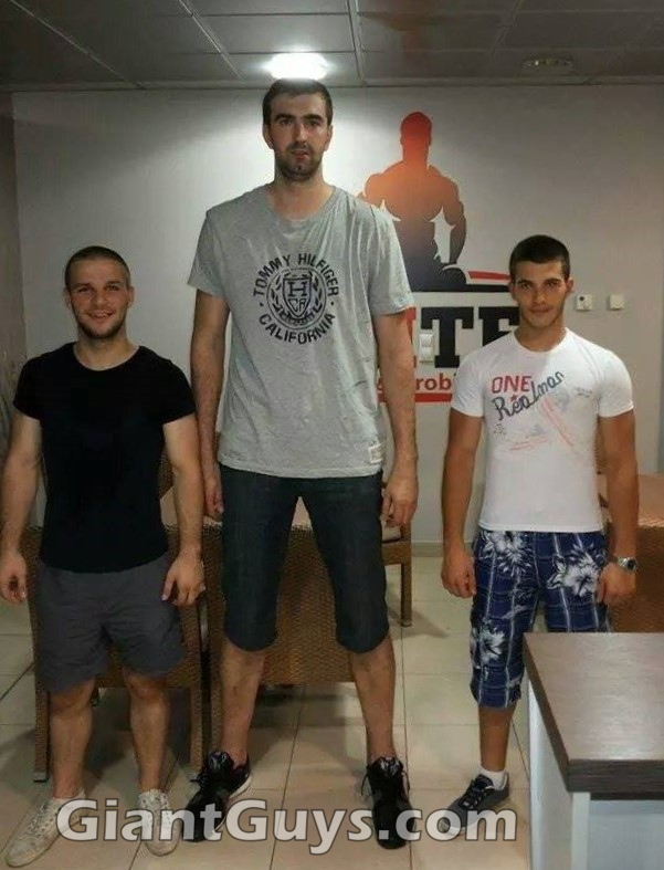 Tall Guys Free 