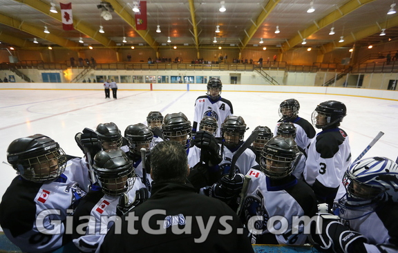 Ethan Lavallee - tall hockey player