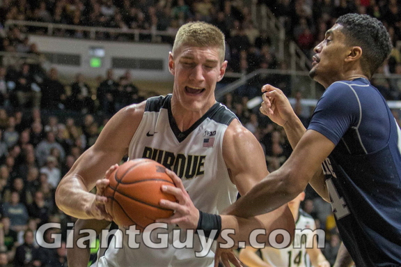 Isaac Haas