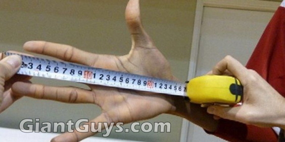 25378-36742f-main1-784x391