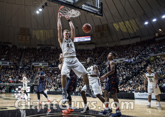 Isaac Haas