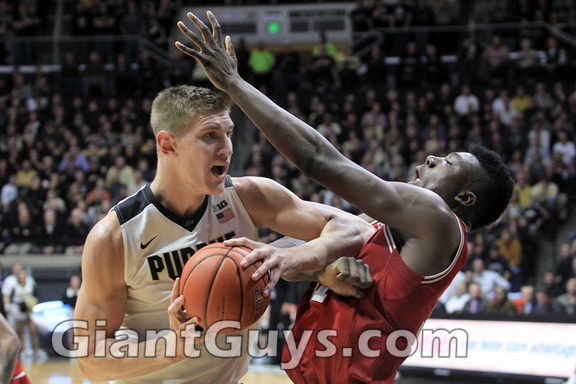 Isaac Haas
