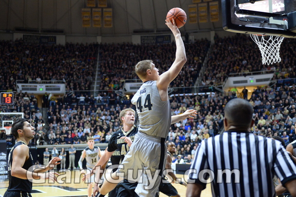 Isaac Haas