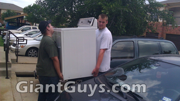 William Bodhi Stauss