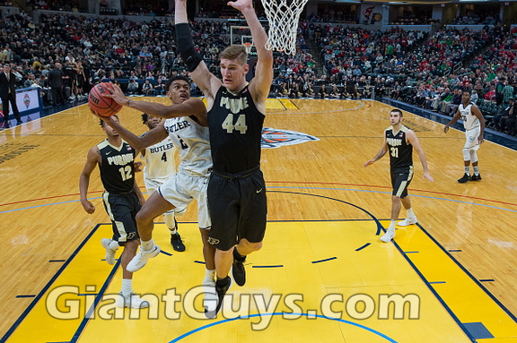 Isaac Haas