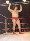 Andre the Giant