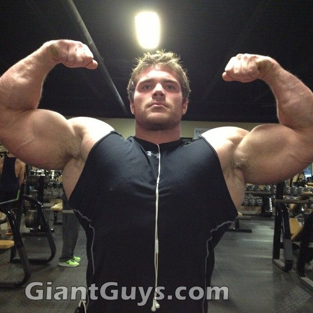 Muscle Guy 5