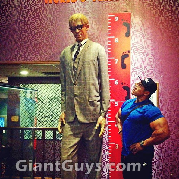 Giant Guys